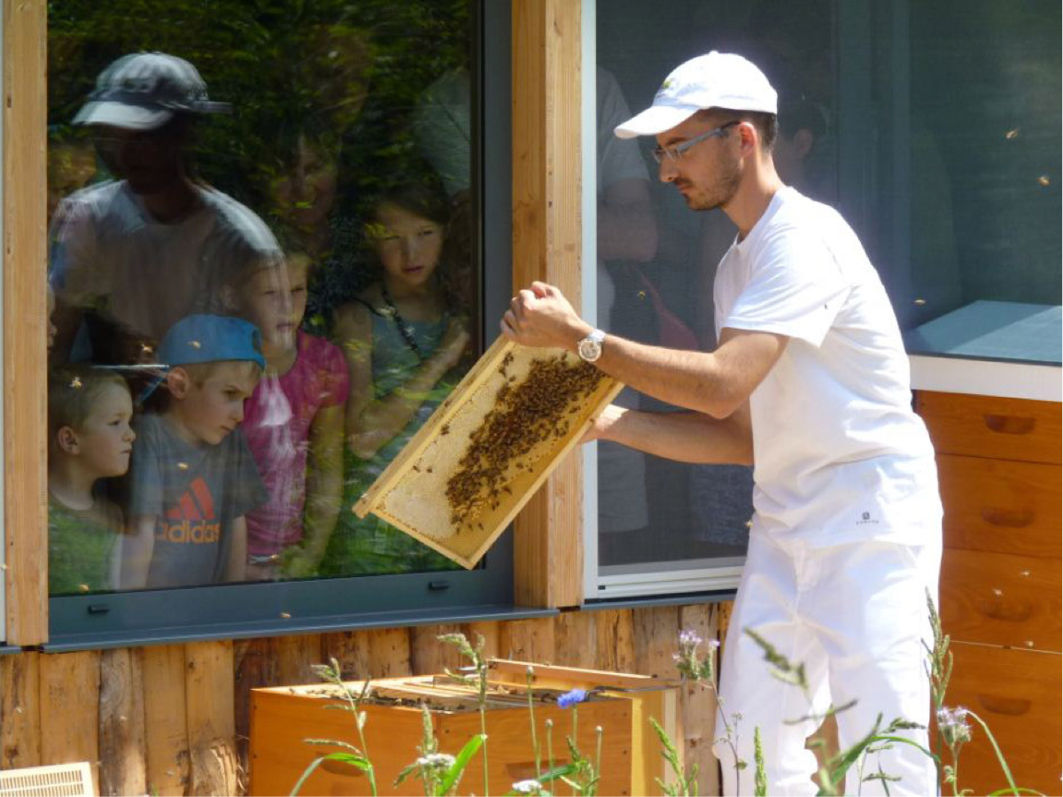 Association Chatillon Nature En Dombes